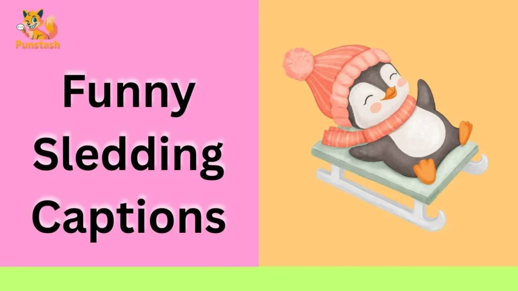 Funny Sledding Captions