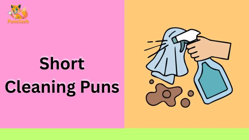 Short Cleaning Puns