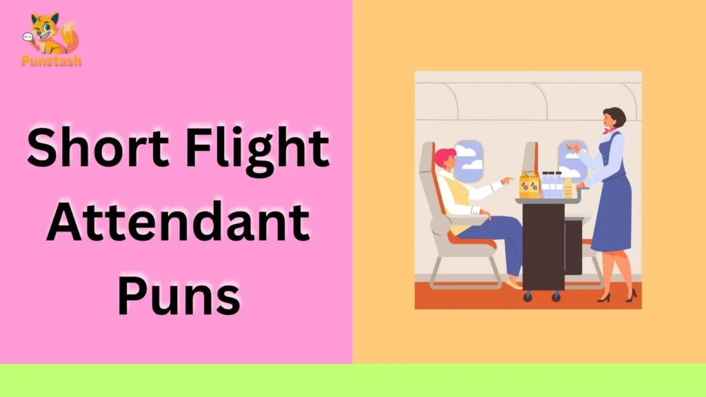 Short Flight Attendant Puns