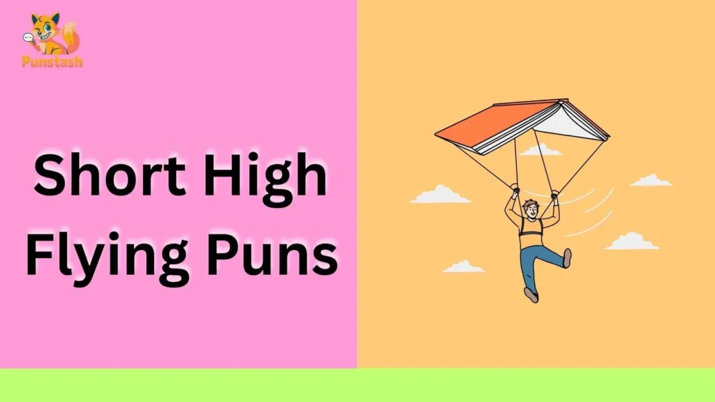 Short High Flying Puns