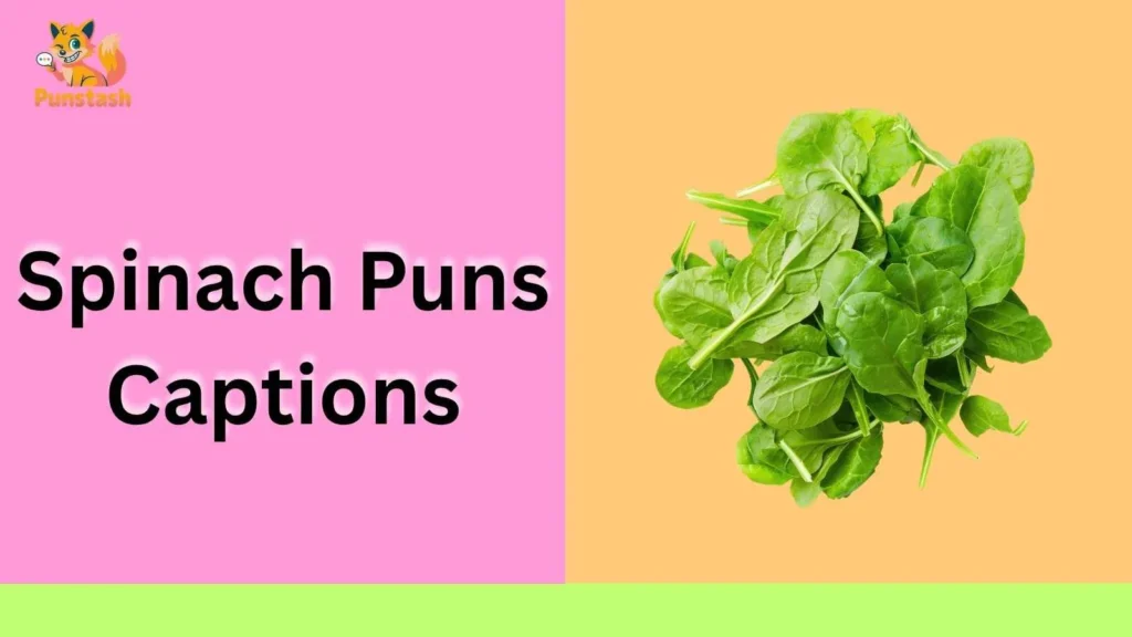 Spinach Puns Captions