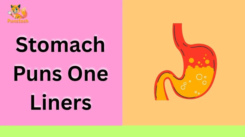Stomach Puns One Liners