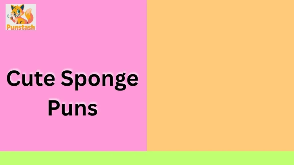Cute Sponge Puns