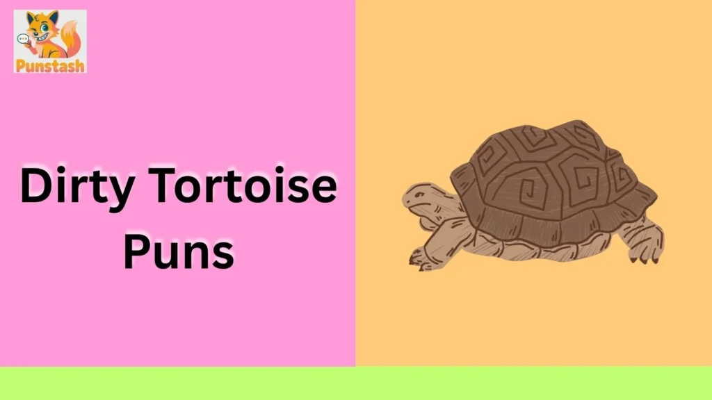 Dirty Tortoise Puns