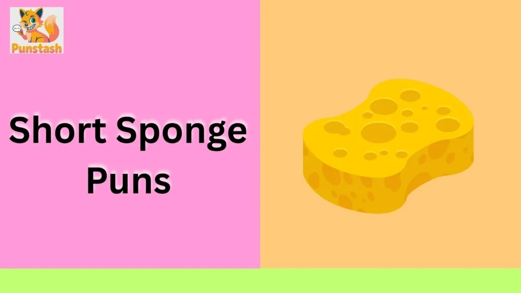 Short Sponge Puns