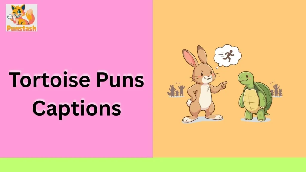 Tortoise Puns Captions