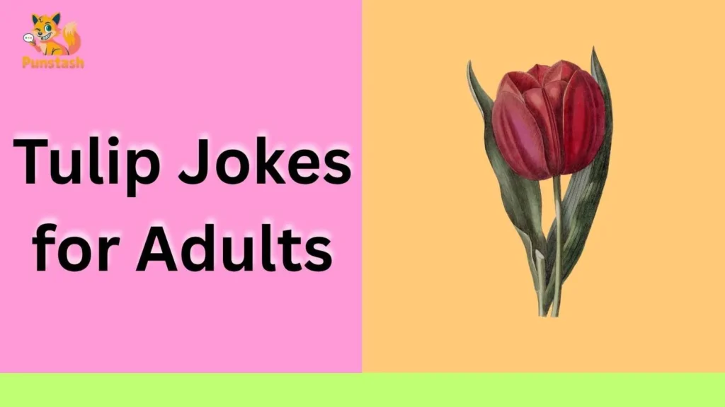 Tulip Jokes for Adults