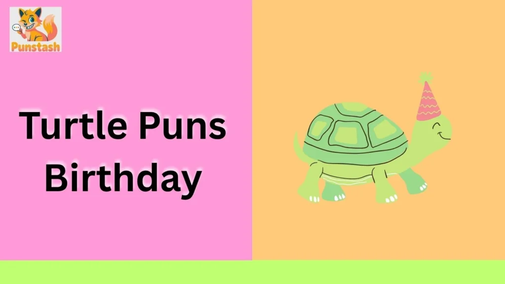 Turtle Puns Birthday