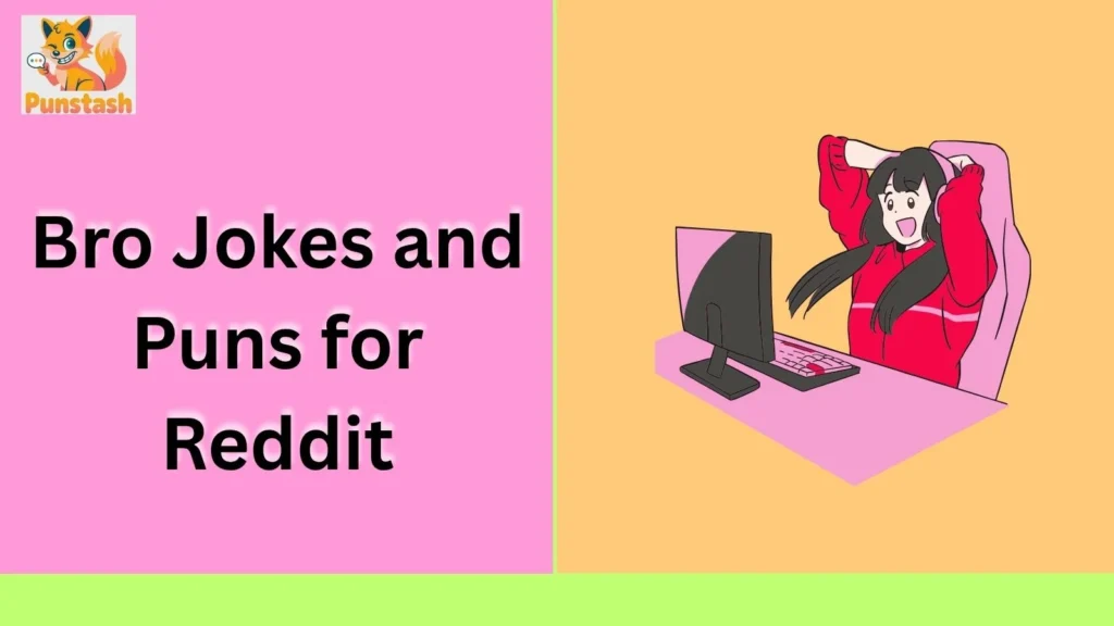 Bro Jokes and Puns for Reddit