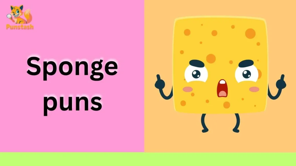 Sponge puns