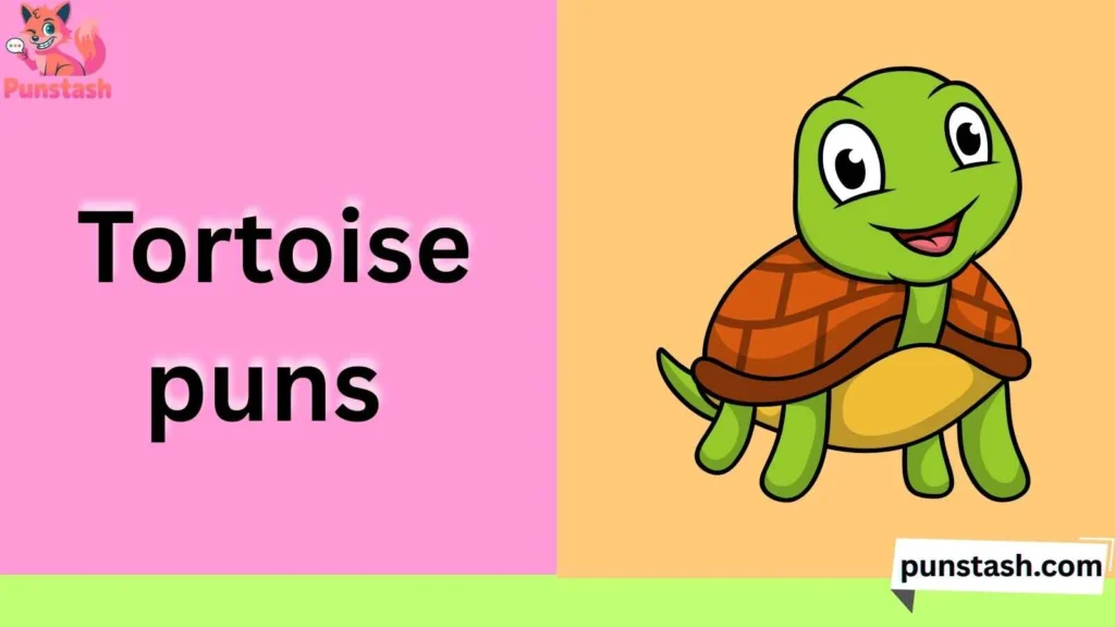 Tortoise puns