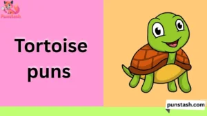 Tortoise puns