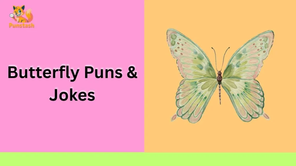 Butterfly Puns & Jokes