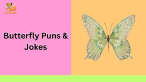 Butterfly Puns & Jokes