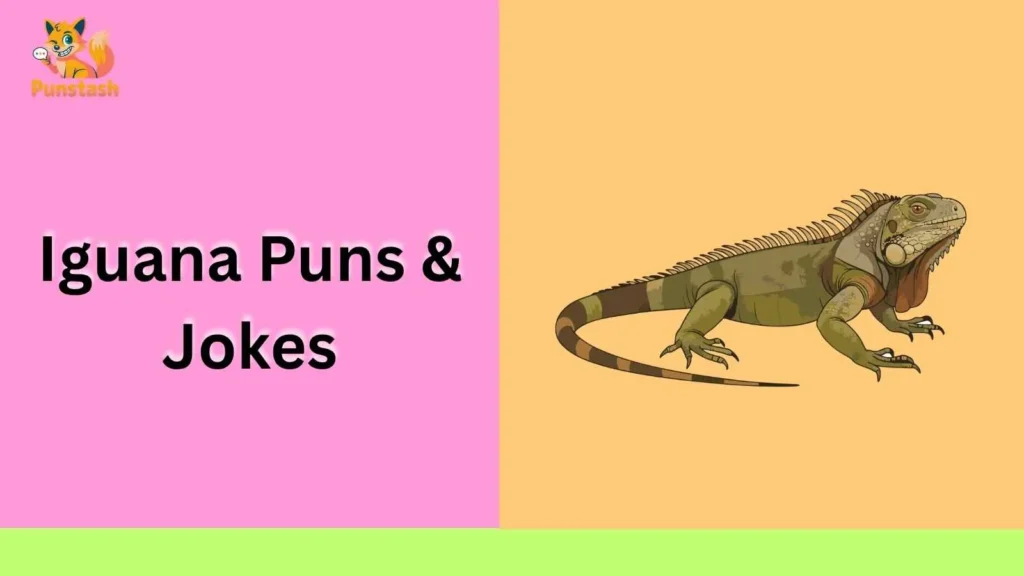 Iguana Puns & Jokes