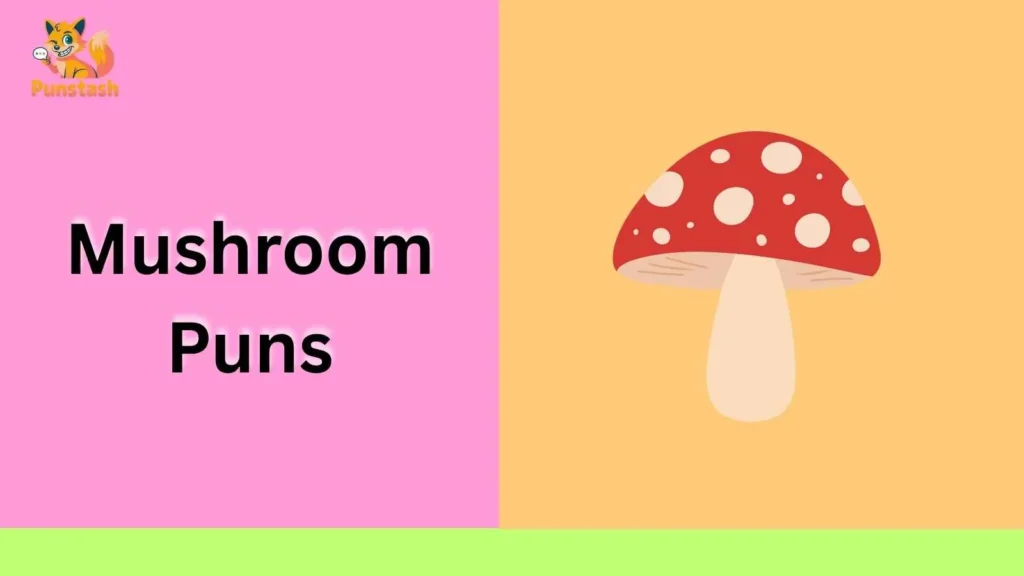 Mushroom Puns
