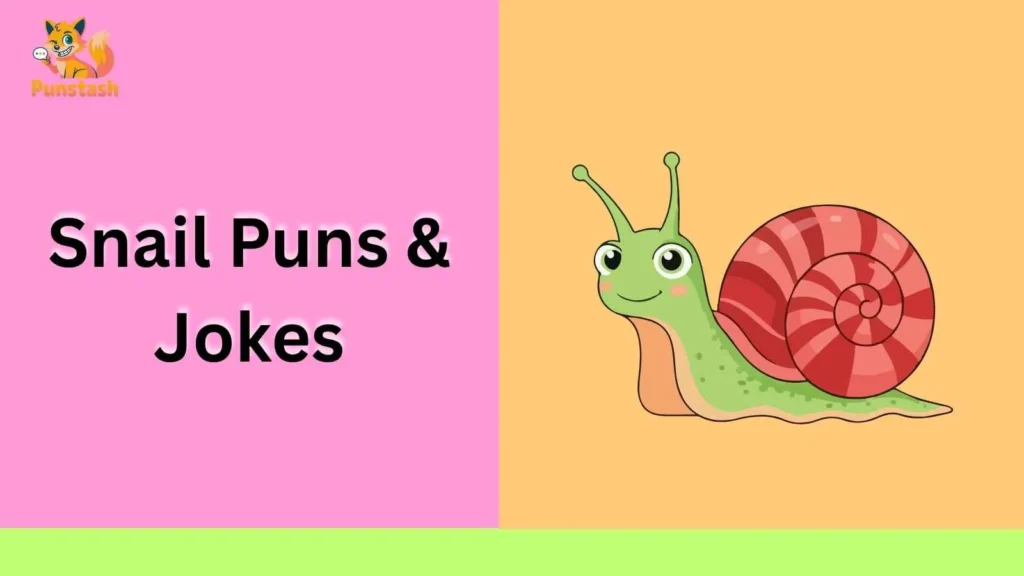 Snail Puns & Jokes