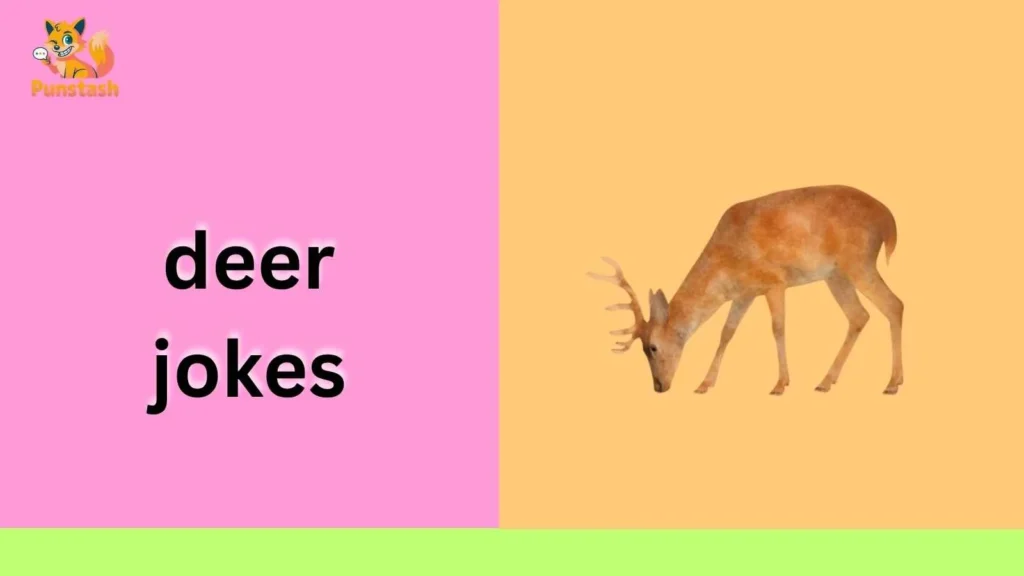 deer jokes