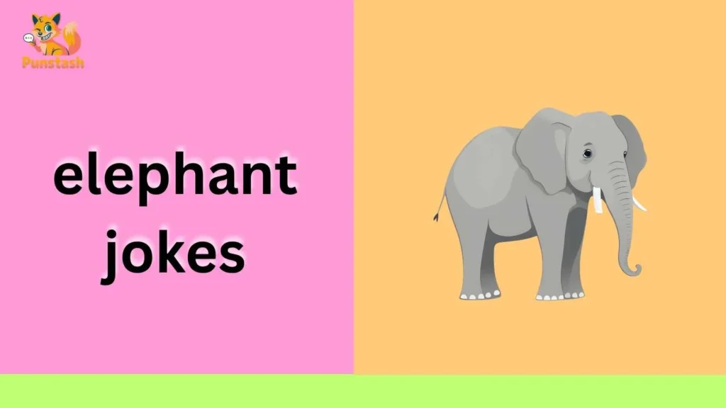 elephant jokes
