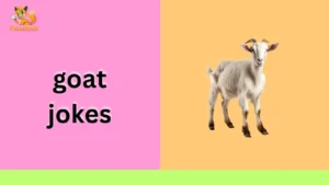 goat jokes