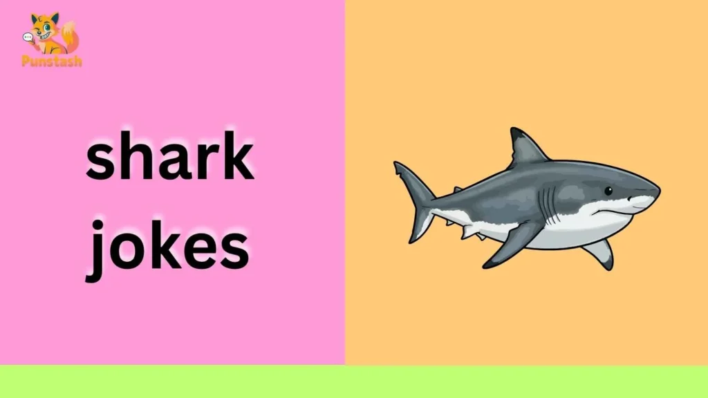 shark jokes