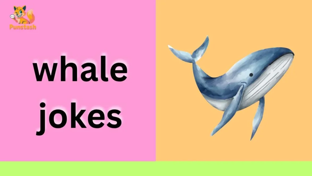 whale jokes