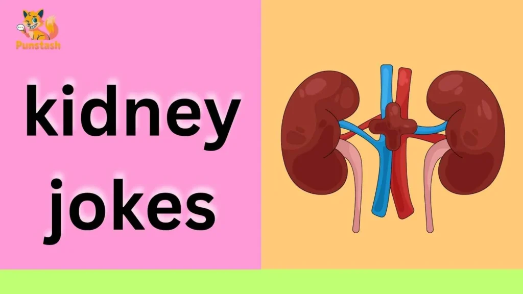 kidney jokes