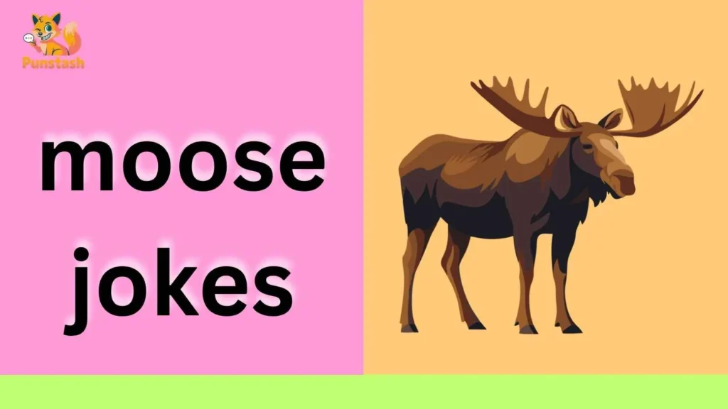moose jokes