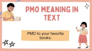 pmo meaning in text