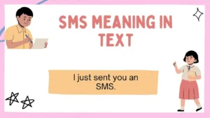 sms meaning in text