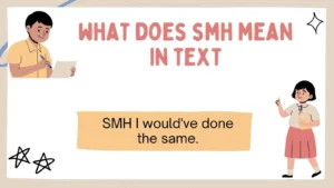 what does smh mean in text