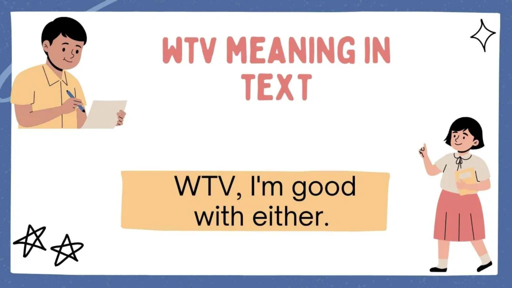 wtv meaning in text