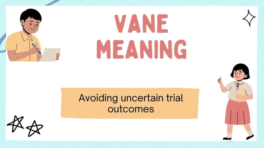 vane meaning